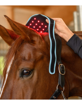 Flexpad Infrarouge - HEALTH + CARE