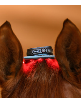 Flexpad Infrarouge - HEALTH + CARE