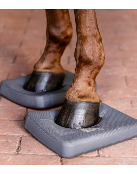 Pads de proprioception - HEALTH AND CARE