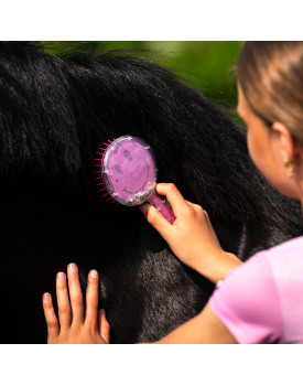 BROSSE QUEUE ET CRINS ROSALYNN