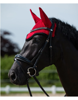 BRIDON LAGOS RENES INCLUSES