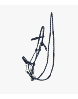 LICOL EN CORDE AUBREE AVEC RENES