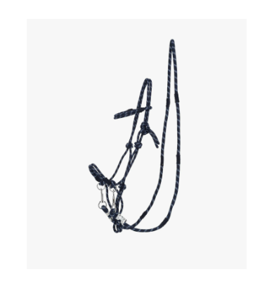 LICOL EN CORDE AUBREE AVEC...