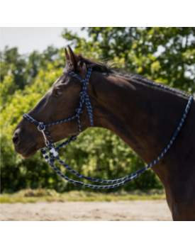 LICOL EN CORDE AUBREE AVEC RENES