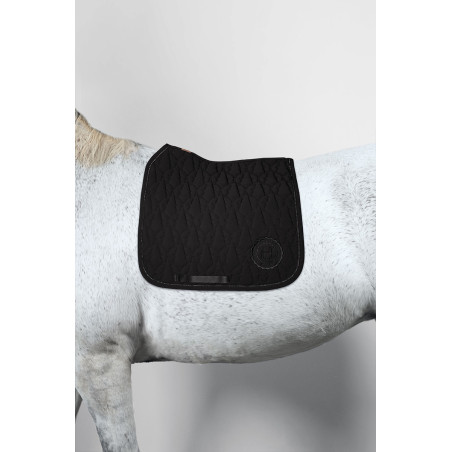 Vaillant CSO dressage