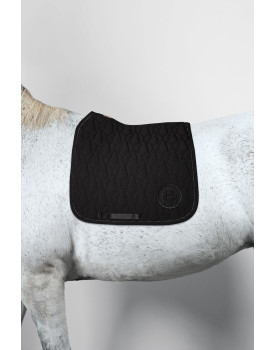 Vaillant CSO dressage
