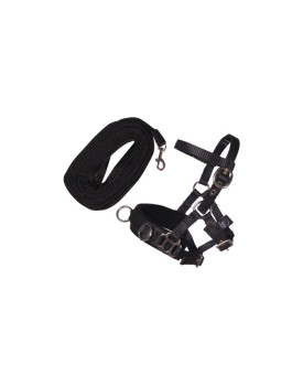 SET DE LONGE - HOBBY HORSING