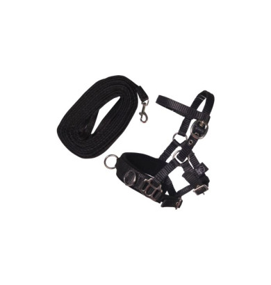 SET DE LONGE - HOBBY HORSING