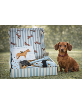 COFFRET DE PANSAGE STABLE BUDDY