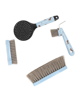 COFFRET DE PANSAGE STABLE BUDDY