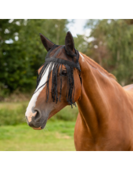 FRONTAL CHASSE MOUCHE AVEC OREILLES