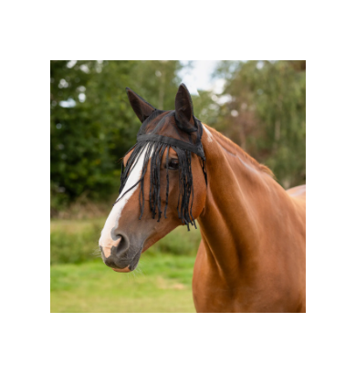 FRONTAL CHASSE MOUCHE AVEC...