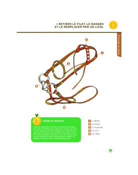 LIVRE GALOPS 1 ET 2 NOUVELLE EDITION VIGOT