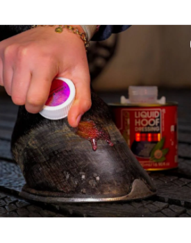 HUILE POUR SABOT BACON'S -HOOF LIQUIDE