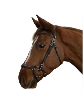 BRIDON ANATOMIQUE CANTER CAYMAN
