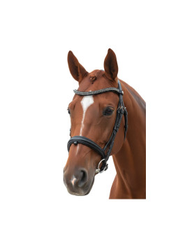 BIRDON DRESSAGE TOTILAS