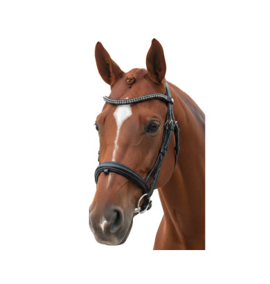 BIRDON DRESSAGE TOTILAS