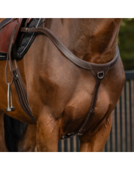 COLLIER DE CHASSE A PONT LONG
