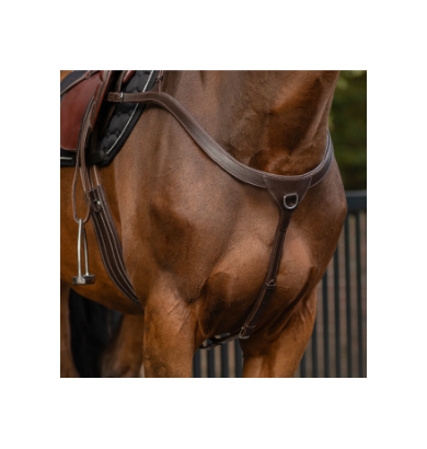 COLLIER DE CHASSE A PONT LONG