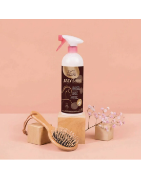 EASY SHINE RAVENE - DEMELANT LUSTRANT EDITION LIMITEE
