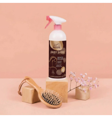 EASY SHINE RAVENE -...
