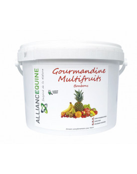 Gourmandine Multrifruit - ALLIANCE EQUINE