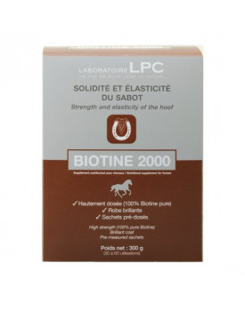 Bitione 2000 - LPC