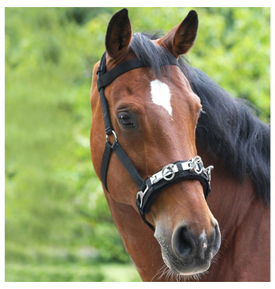 Caveçon en nylon - WALDHAUSEN