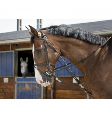 Gogue à poulie - RIDING WORLD