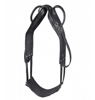 Surfaix de voltige et longe...