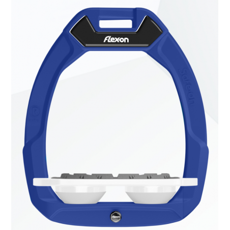 bleu roi plat gripp bleu roi plat gripp