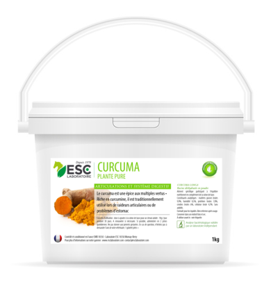 Curcuma - Articulation et...