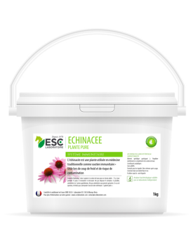 Echinacee - Défenses immunitaires - ESC LABORATOIRE