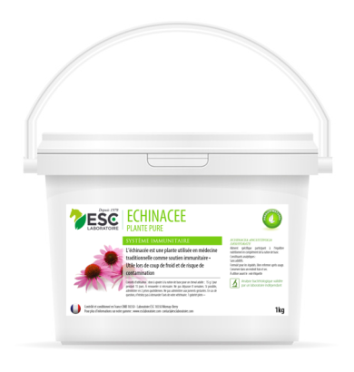 Echinacee - Défenses...