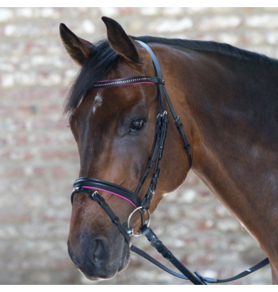 Bridon Star Diamond -...