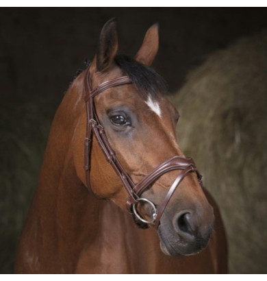 Bridon Vague - NORTON PRO