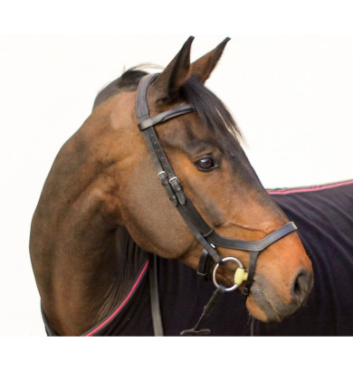 Bridon Anatomique Brauner -...