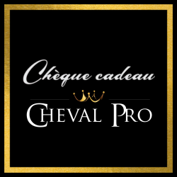 CARTE CADEAU 100€