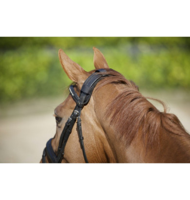 Protège-nuque Velcro - BACK...