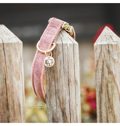 Collier pour chien Velvet -...