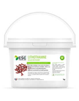 Lithothamne - Reminéralisation Acidité Gastrique - ESC LABORATOIRE