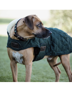 Manteau pour chien Original - KENTUCKY