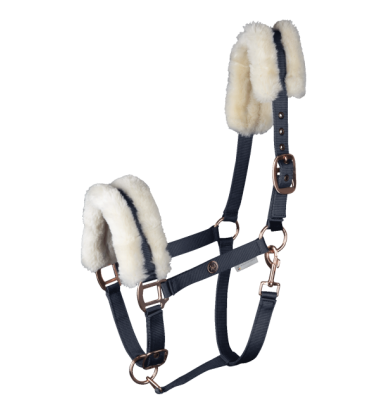 Licol Modern Rose - WALDHAUSEN