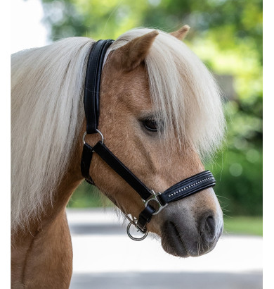 Licol Diamond Star -...