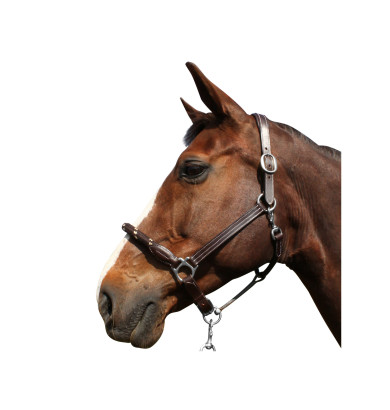 Licol Corde - CANTER