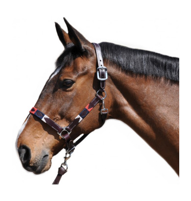 Licol Chukka - FLAGS&CUP