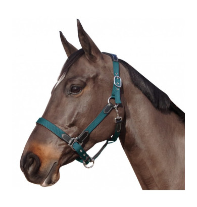 Licol Nylon et Cuir -...