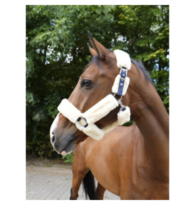 Licol Teddy - EQUITHÈME