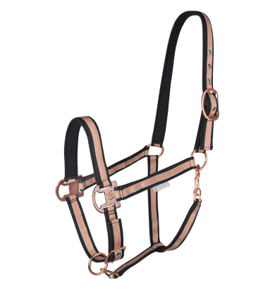 Licol Shine - WALDHAUSEN