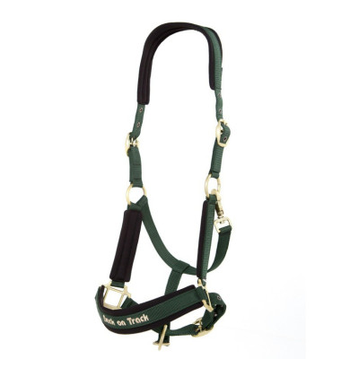 Licol Werano - BACK ON TRACK